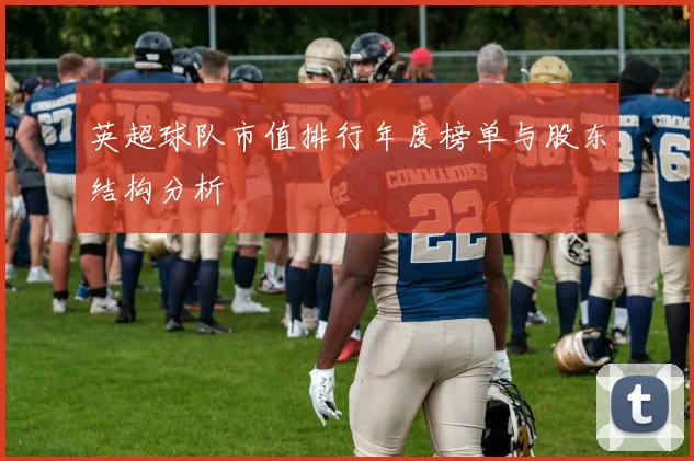 英超球队市值排行年度榜单与股东结构分析